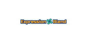 Expression Blend 2