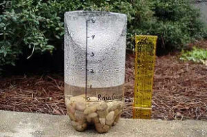 The Rain Gauge 2