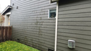 Bayside Exterior Cleaning 2