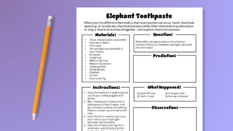 Elephant Toothpaste 2 800x450