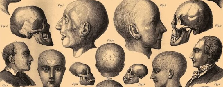 PHRENOLOGY1