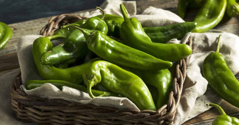 How to Grow Hatch Peppers FB
