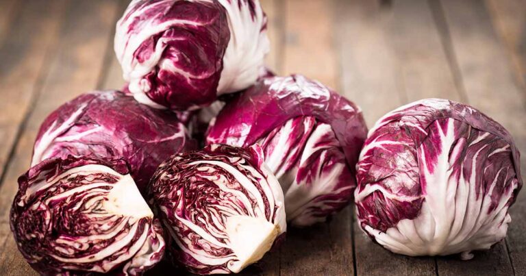 How to Grow Radicchio FB