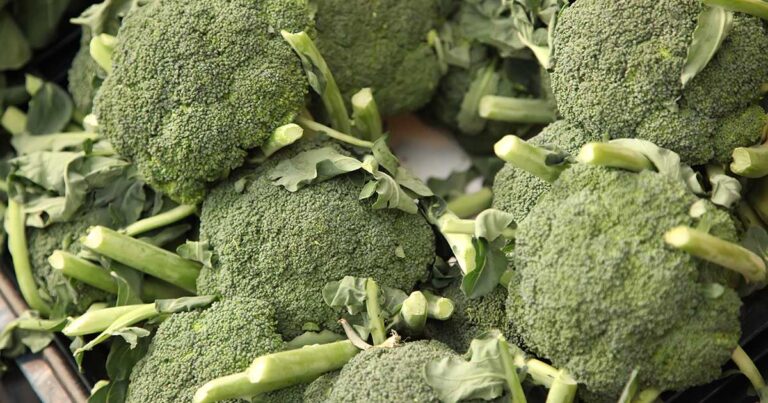 How to Harvest Broccoli FB